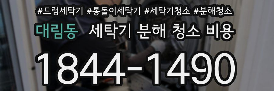 대림동 세탁기 분해 청소 비용