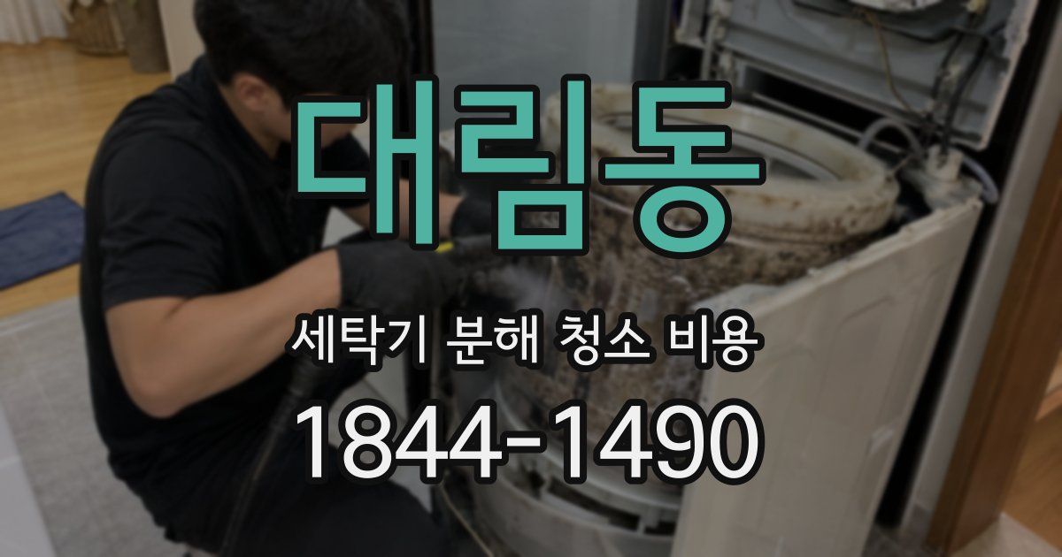 대림동 세탁기 분해 청소 비용
