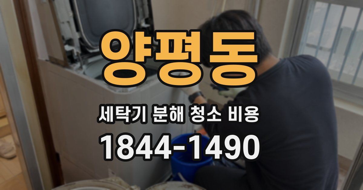 양평동 세탁기 분해 청소 비용