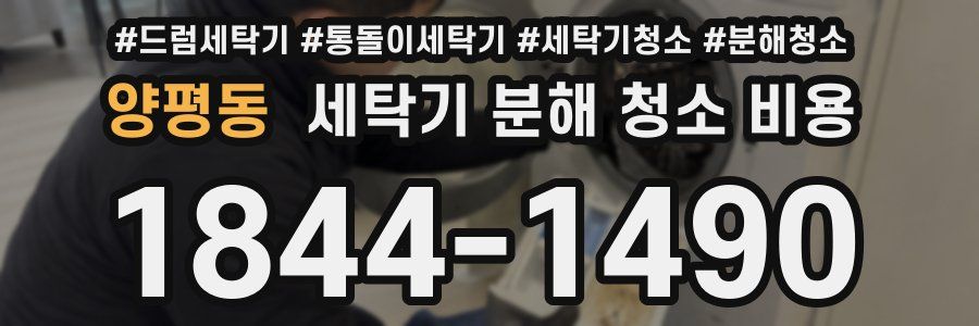 양평동 세탁기 분해 청소 비용