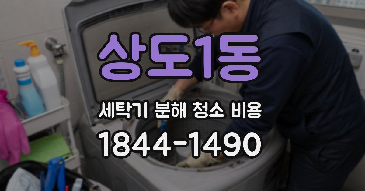 상도1동 세탁기 분해 청소 비용
