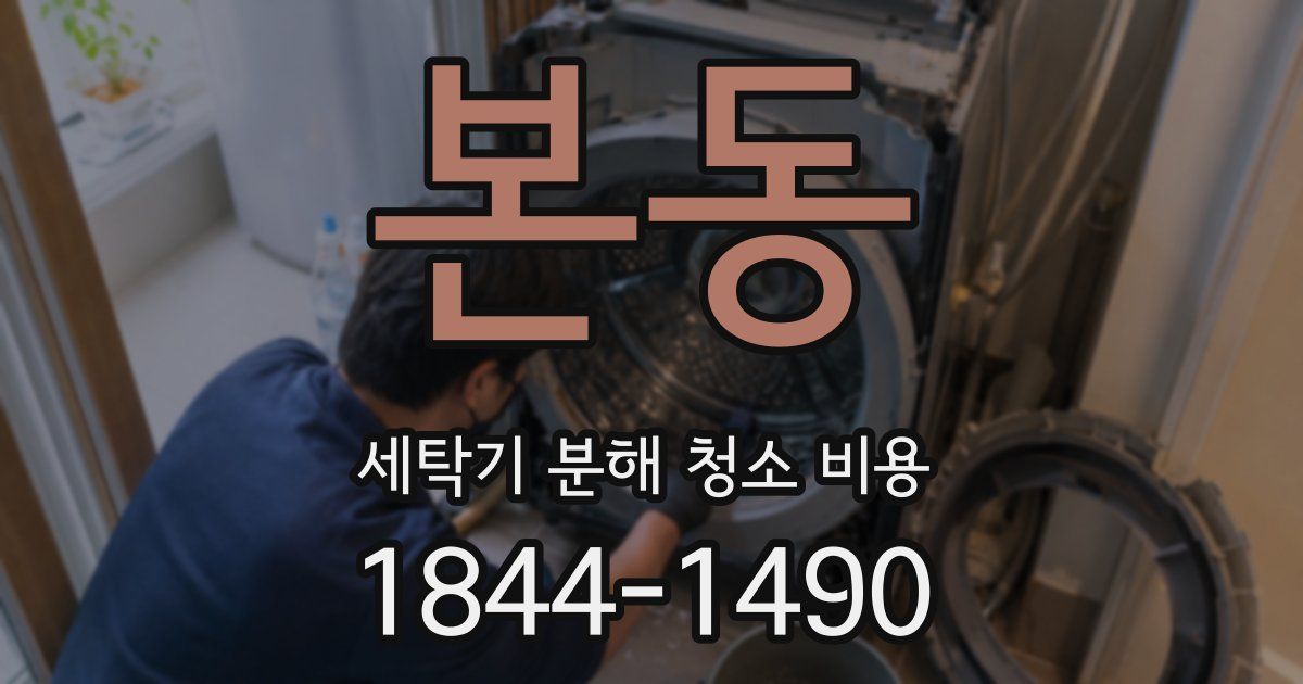본동 세탁기 분해 청소 비용