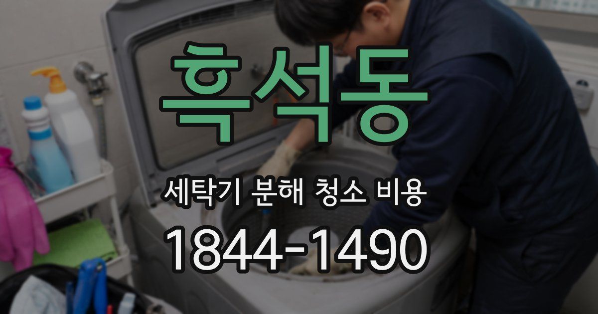 흑석동 세탁기 분해 청소 비용