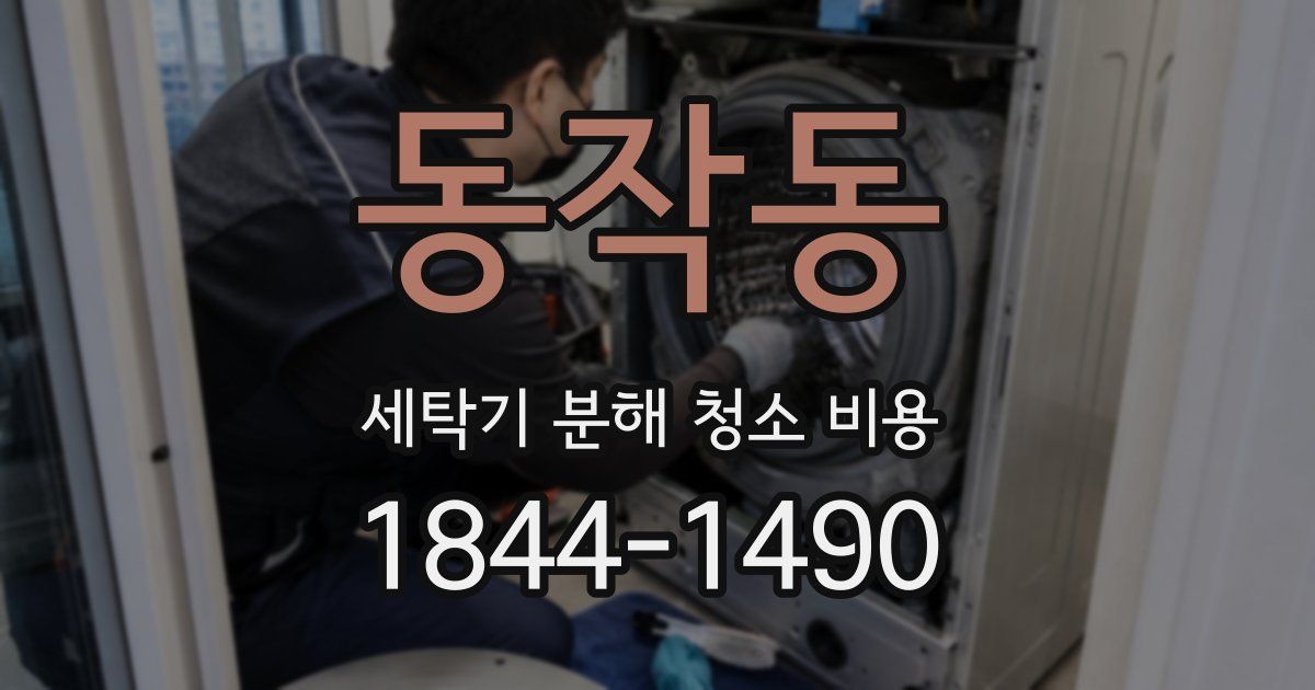 동작동 세탁기 분해 청소 비용