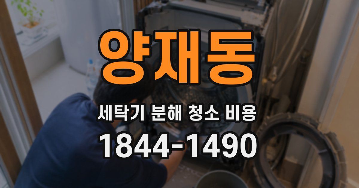 양재동 세탁기 분해 청소 비용