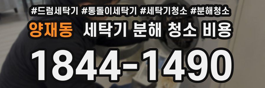양재동 세탁기 분해 청소 비용