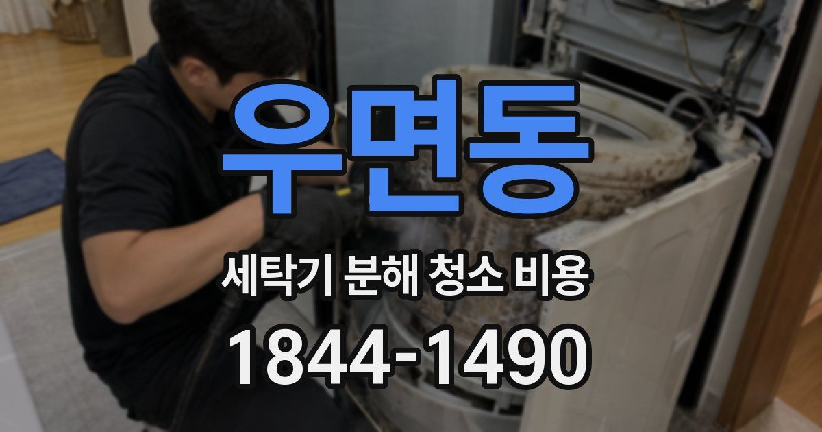 우면동 세탁기 분해 청소 비용