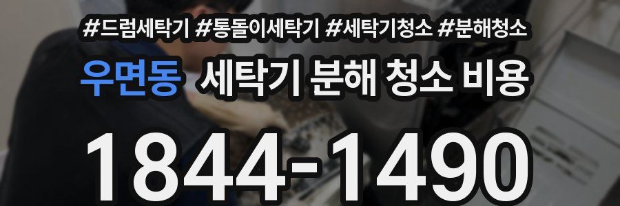 우면동 세탁기 분해 청소 비용