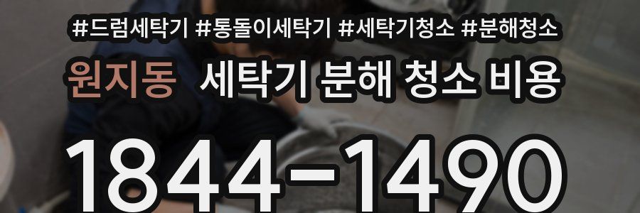 원지동 세탁기 분해 청소 비용