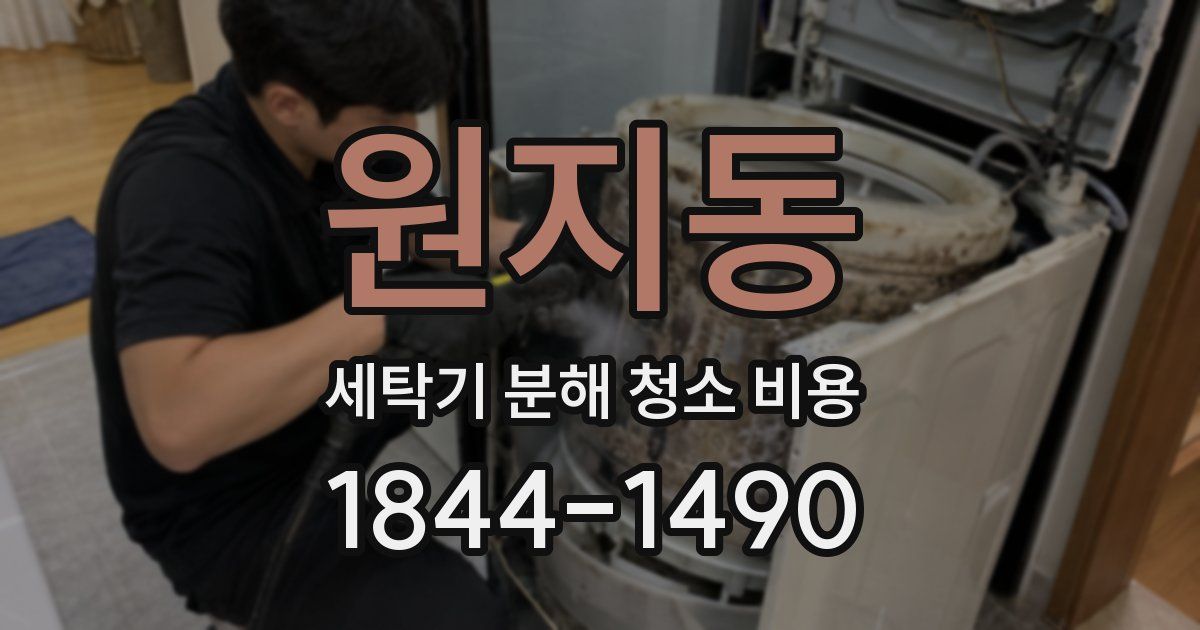 원지동 세탁기 분해 청소 비용