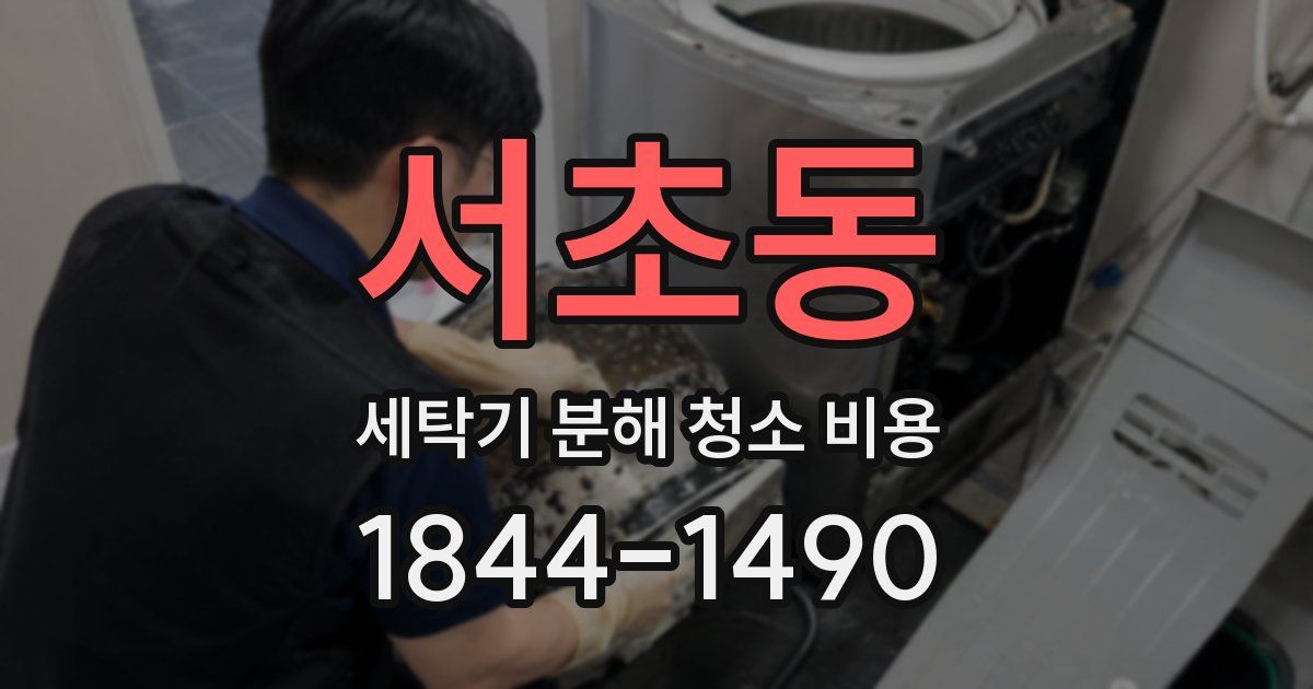 서초동 세탁기 분해 청소 비용