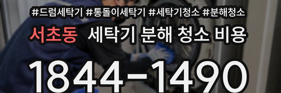 서초동 세탁기 분해 청소 비용