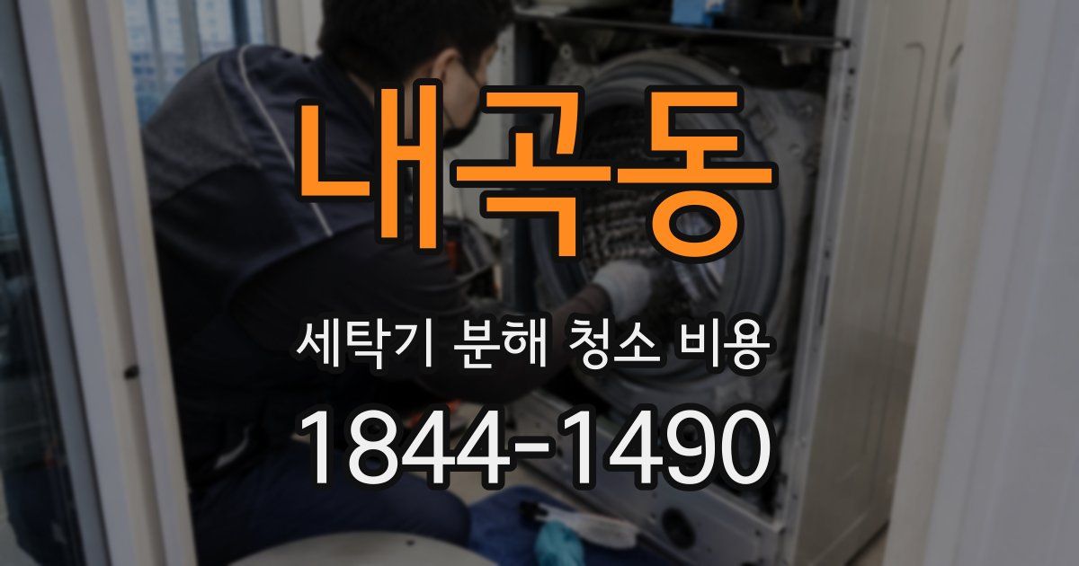 내곡동 세탁기 분해 청소 비용