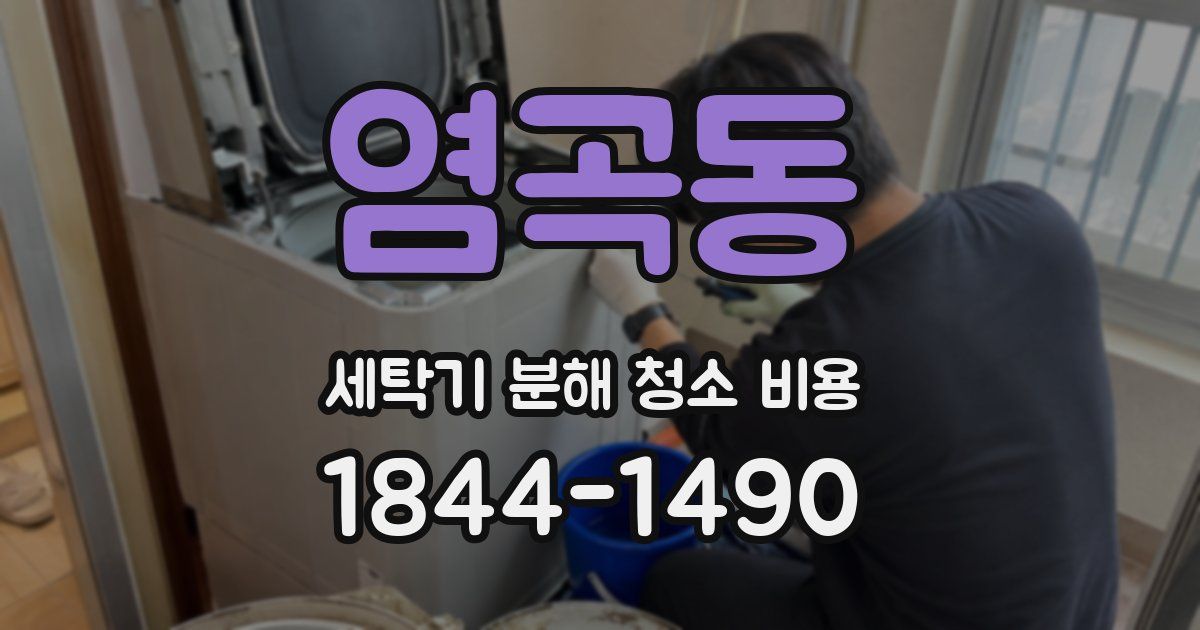 염곡동 세탁기 분해 청소 비용