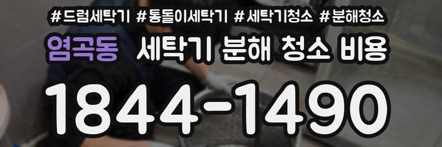 염곡동 세탁기 분해 청소 비용