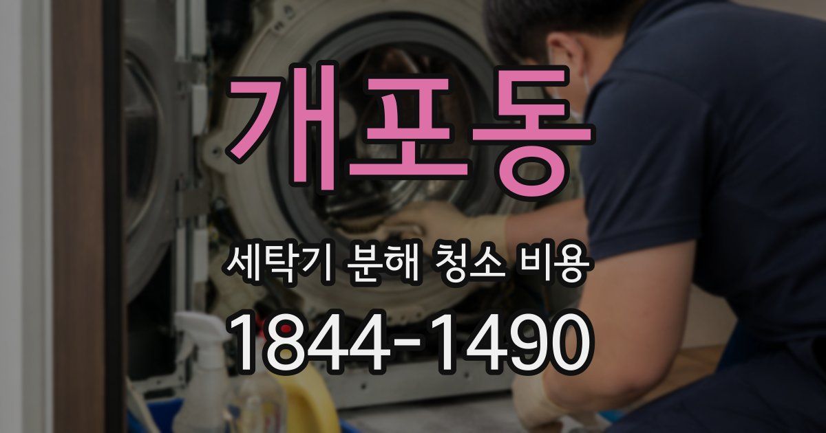 개포동 세탁기 분해 청소 비용