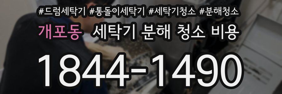 개포동 세탁기 분해 청소 비용