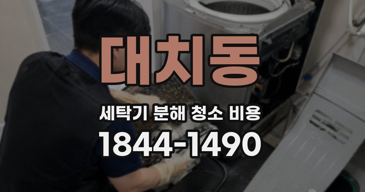 대치동 세탁기 분해 청소 비용
