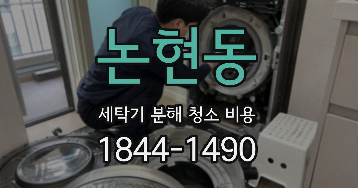 논현동 세탁기 분해 청소 비용