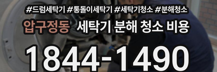 압구정동 세탁기 분해 청소 비용