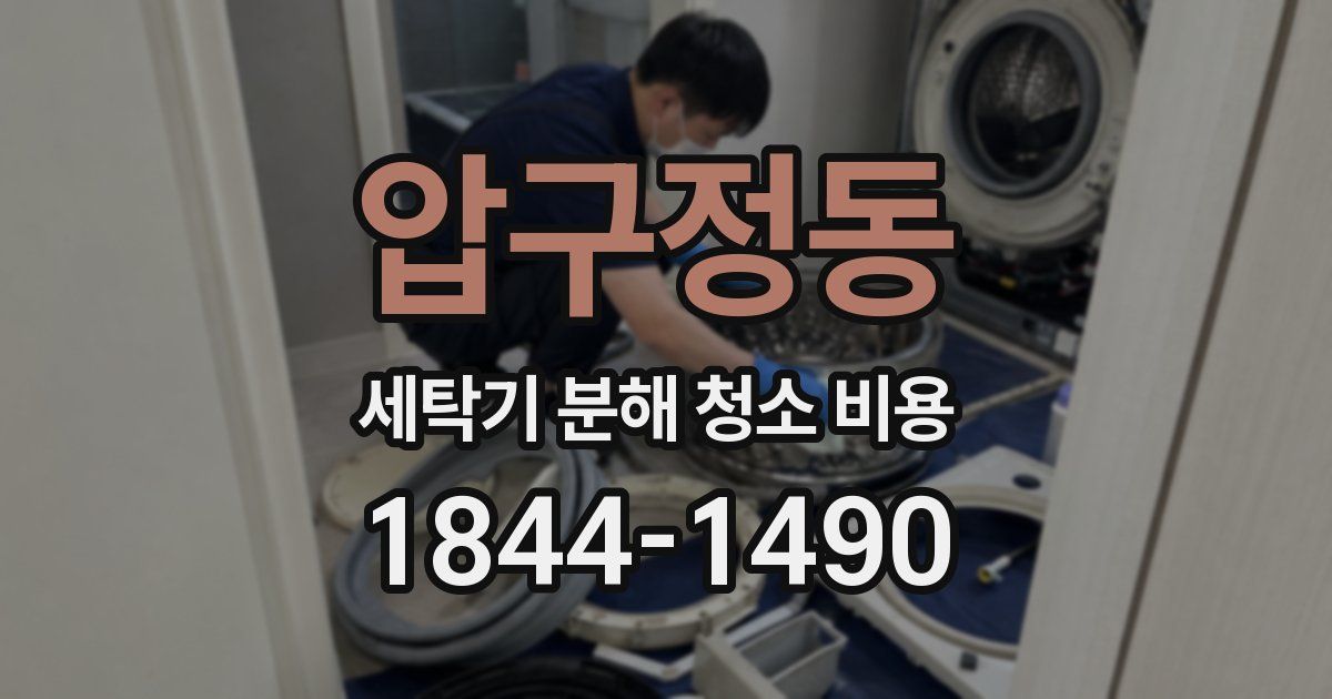 압구정동 세탁기 분해 청소 비용