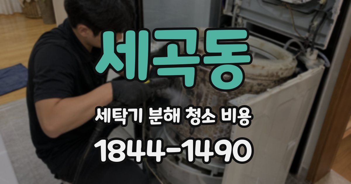 세곡동 세탁기 분해 청소 비용