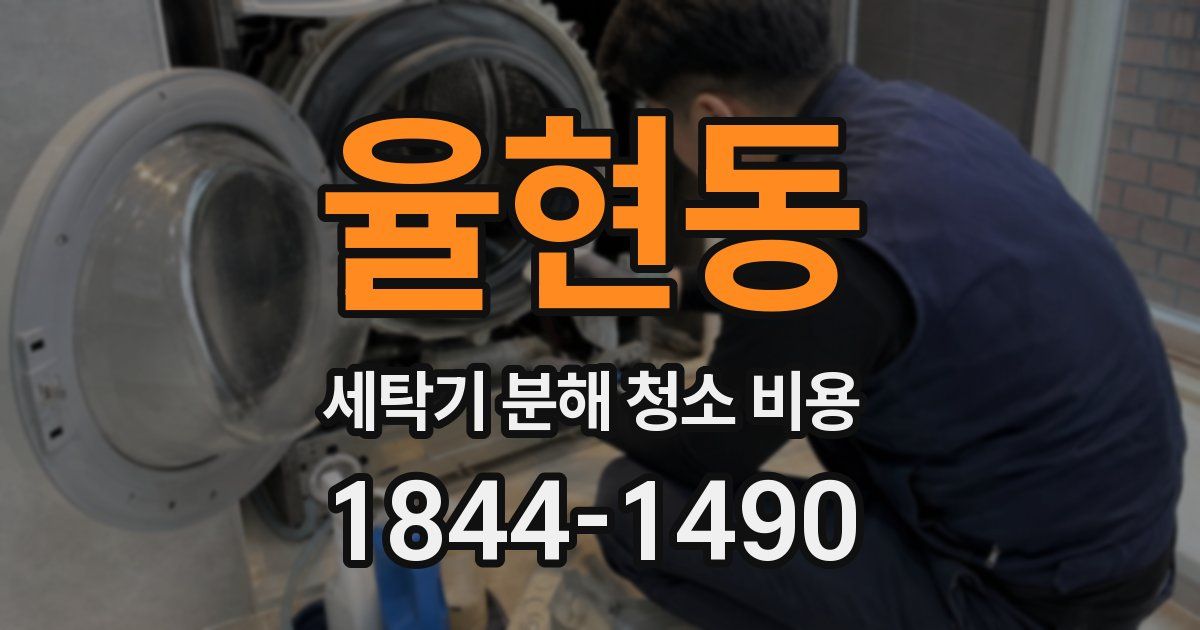 율현동 세탁기 분해 청소 비용