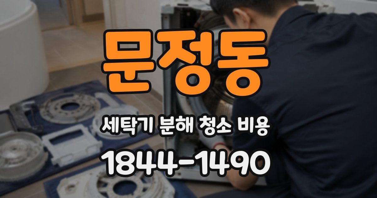 문정동 세탁기 분해 청소 비용