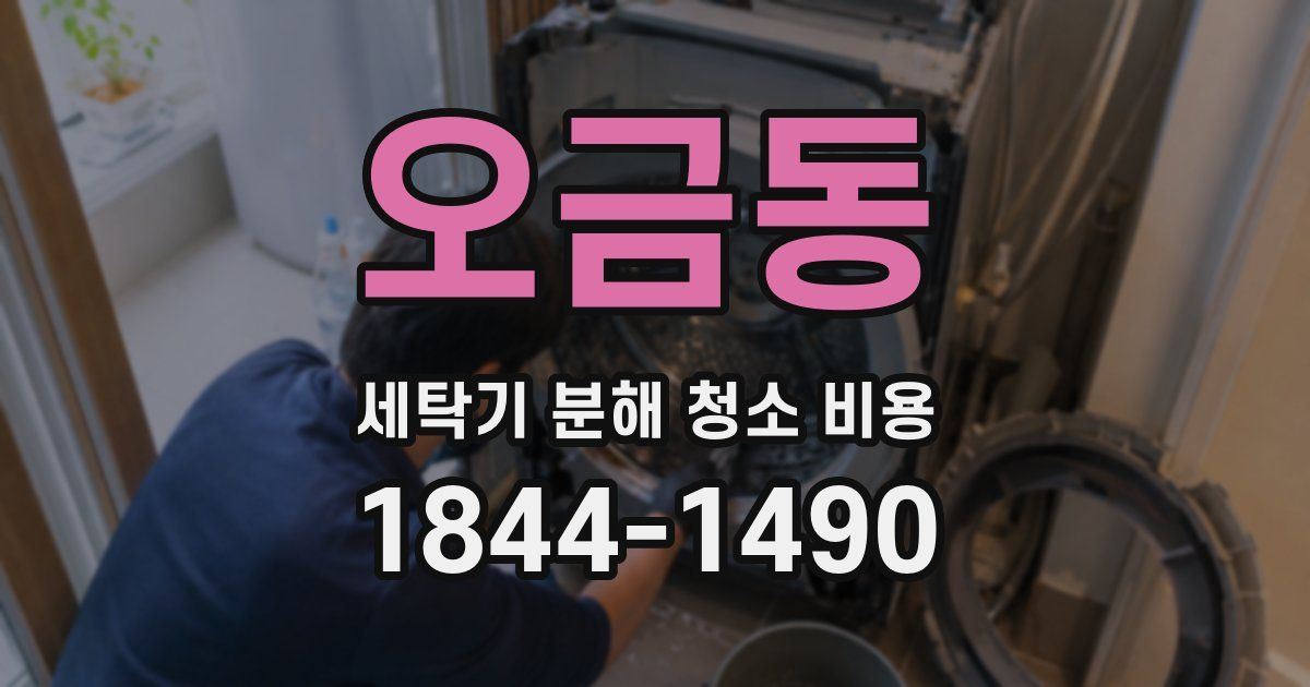 오금동 세탁기 분해 청소 비용