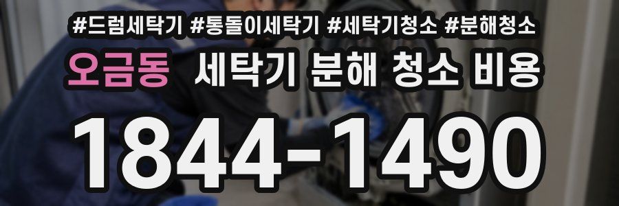 오금동 세탁기 분해 청소 비용