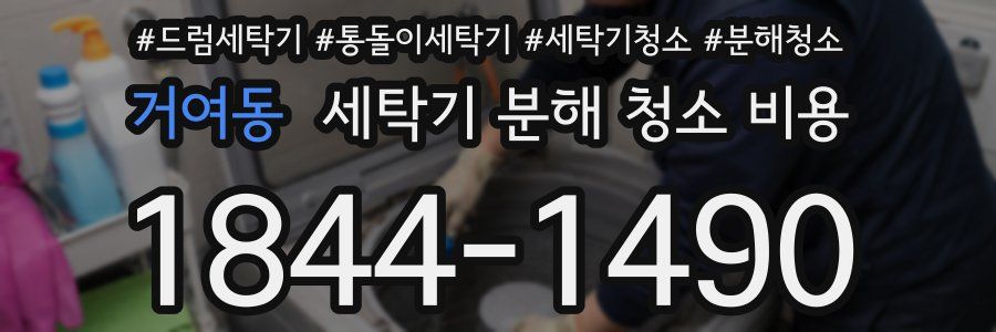 거여동 세탁기 분해 청소 비용
