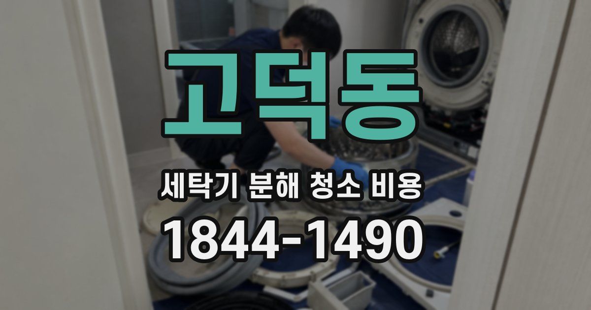 고덕동 세탁기 분해 청소 비용