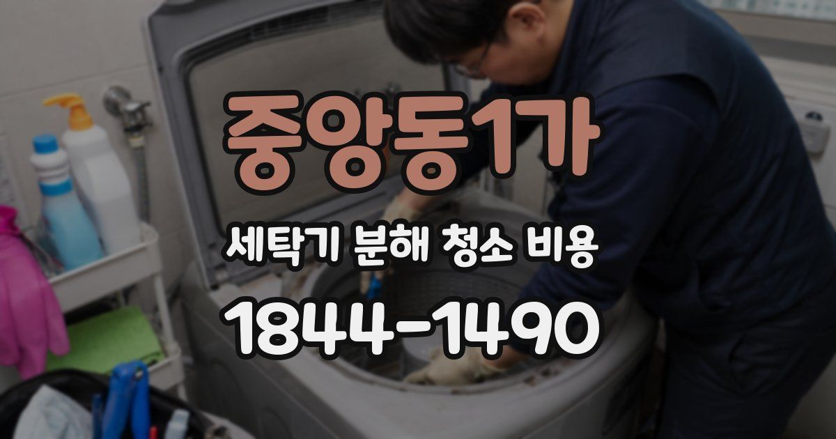 중앙동1가 세탁기 분해 청소 비용