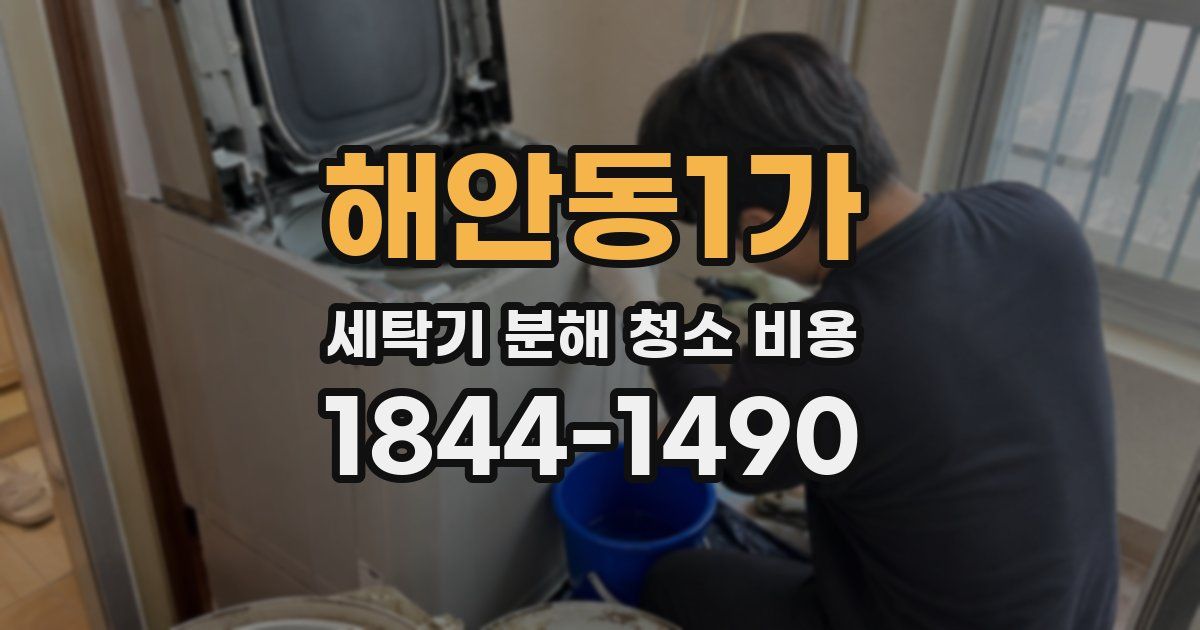 해안동1가 세탁기 분해 청소 비용