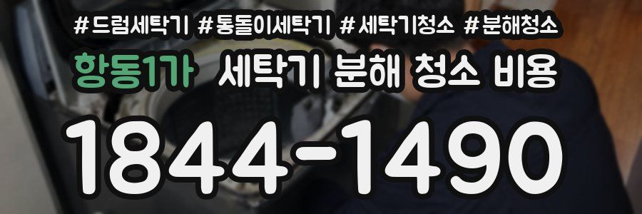 항동1가 세탁기 분해 청소 비용