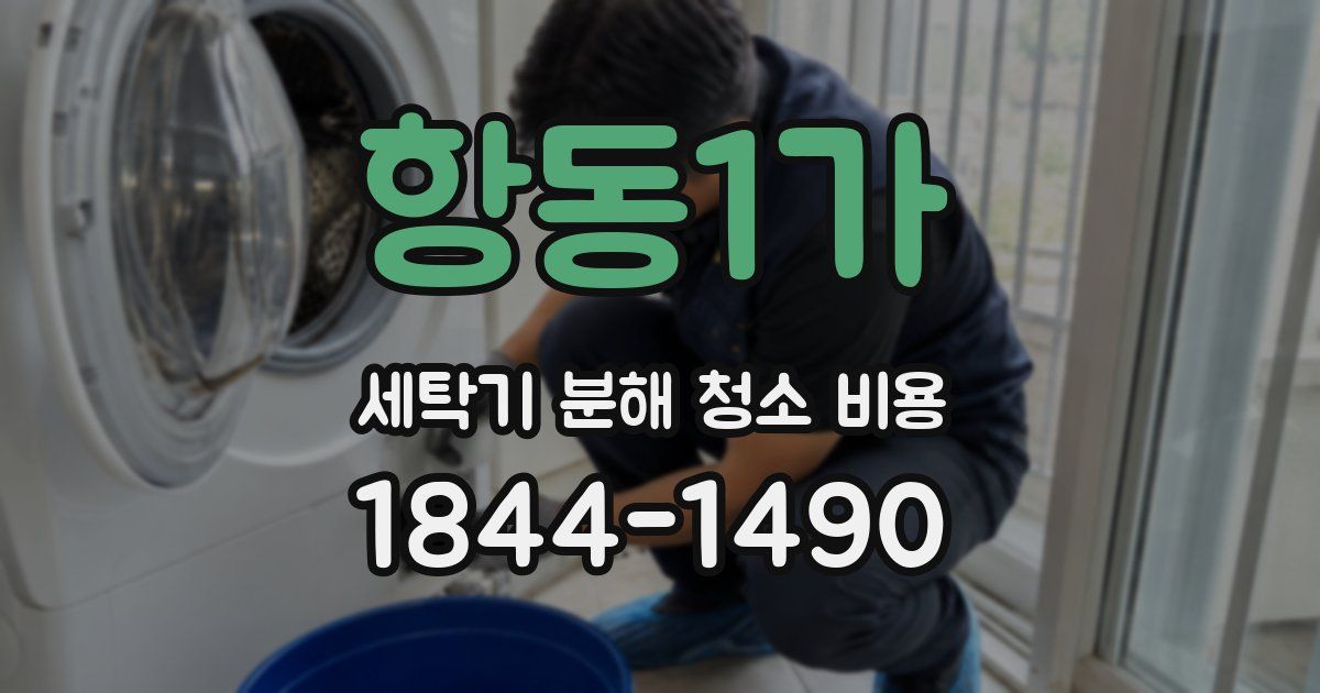 항동1가 세탁기 분해 청소 비용