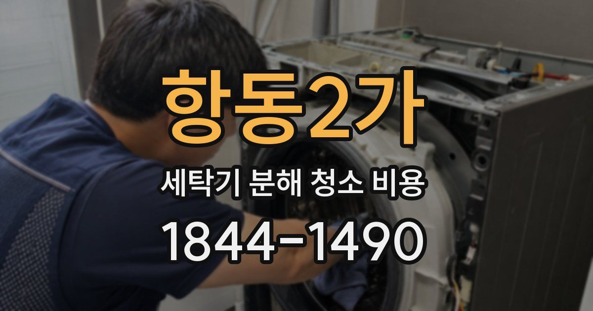 항동2가 세탁기 분해 청소 비용
