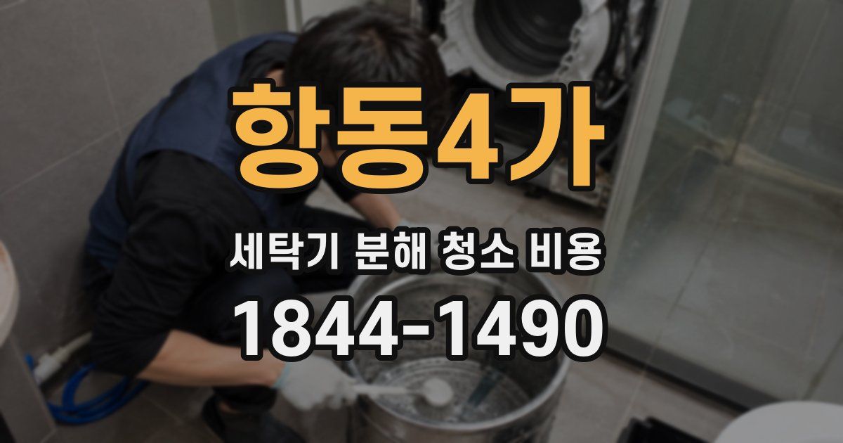 항동4가 세탁기 분해 청소 비용