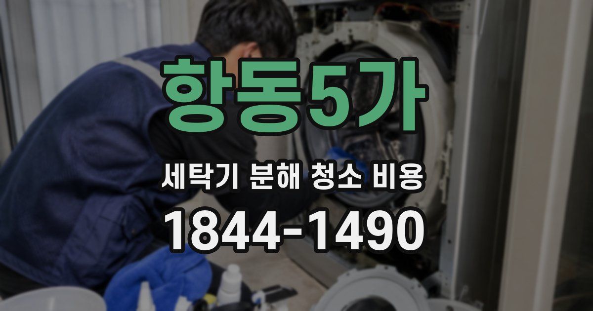 항동5가 세탁기 분해 청소 비용