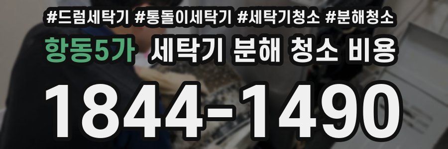 항동5가 세탁기 분해 청소 비용