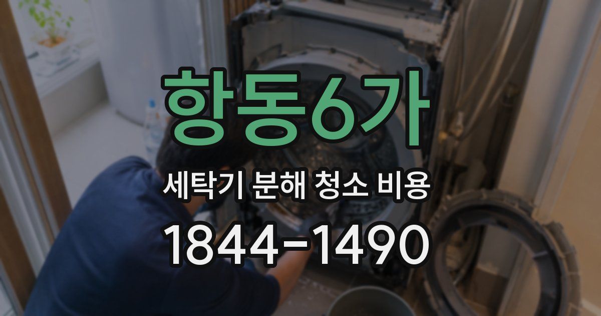항동6가 세탁기 분해 청소 비용