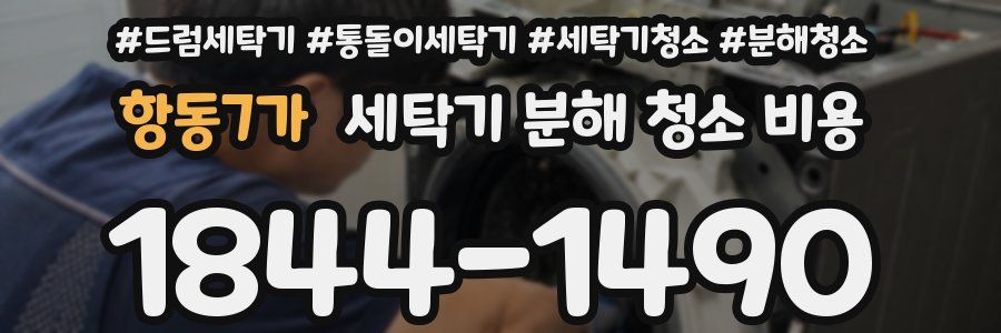 항동7가 세탁기 분해 청소 비용