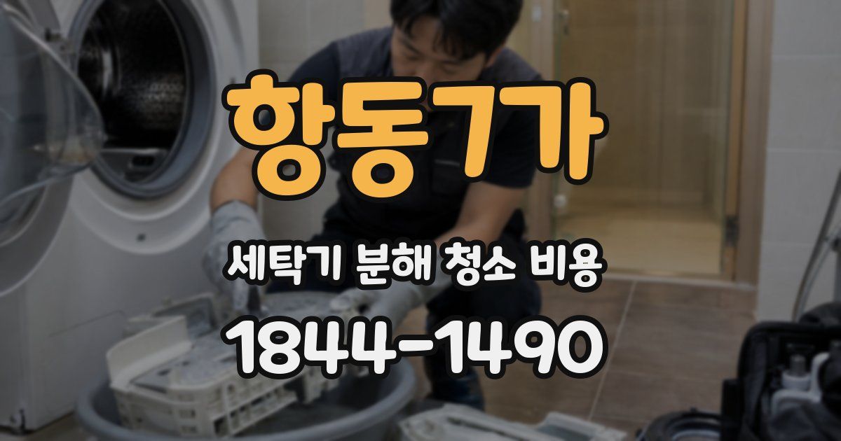 항동7가 세탁기 분해 청소 비용