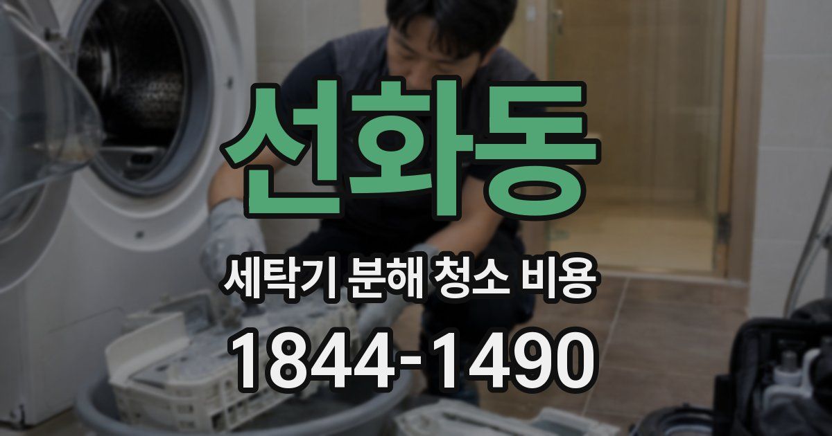 선화동 세탁기 분해 청소 비용