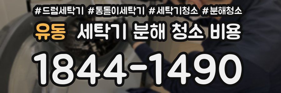 유동 세탁기 분해 청소 비용