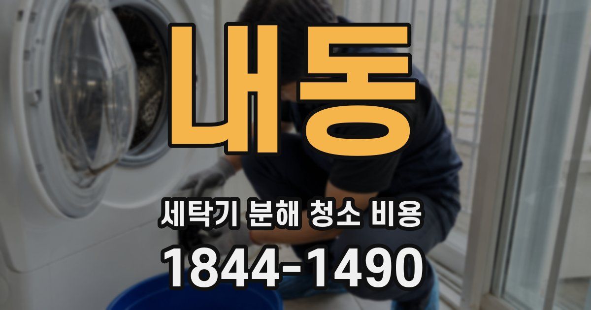 내동 세탁기 분해 청소 비용
