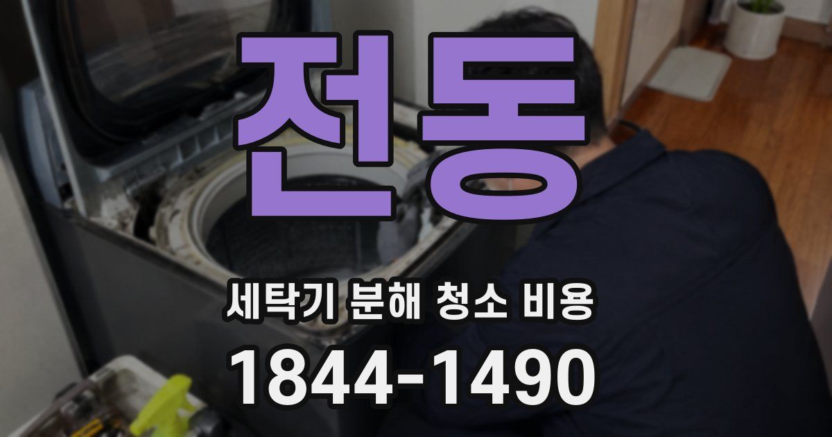 전동 세탁기 분해 청소 비용