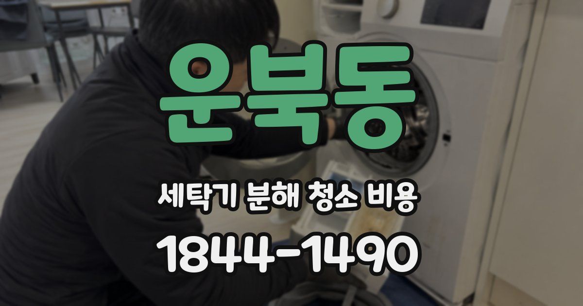운북동 세탁기 분해 청소 비용