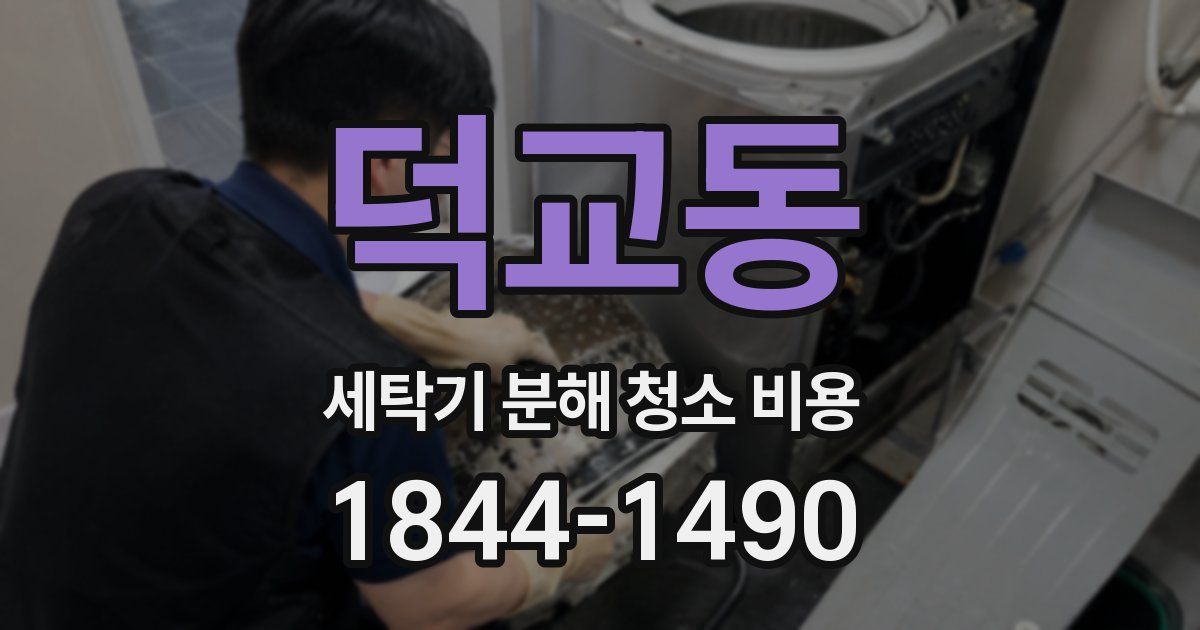 덕교동 세탁기 분해 청소 비용