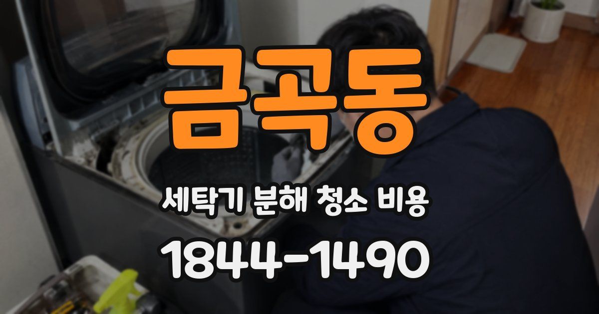 금곡동 세탁기 분해 청소 비용